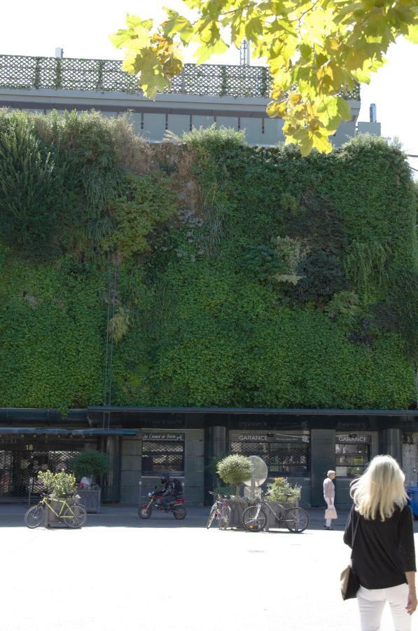 Appartement Terrasse - Hypercentre Avinyon Dış mekan fotoğraf